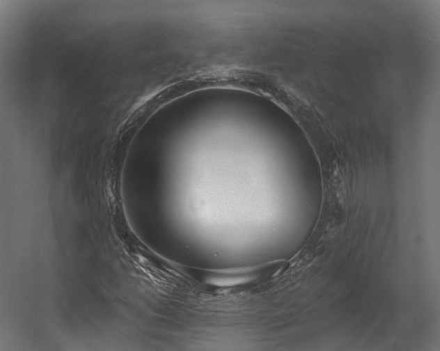 X0000058811206200510031338