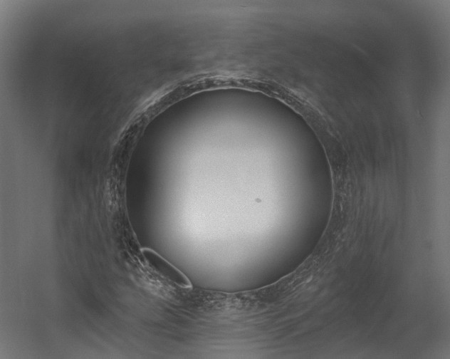 X0000058811207200510031338