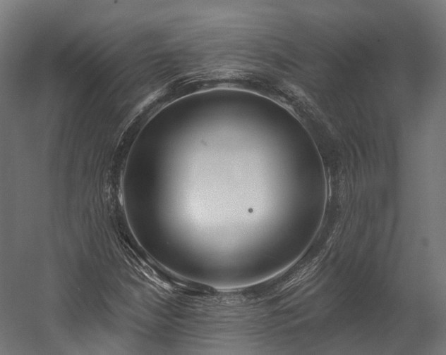 X0000058811210200510031338