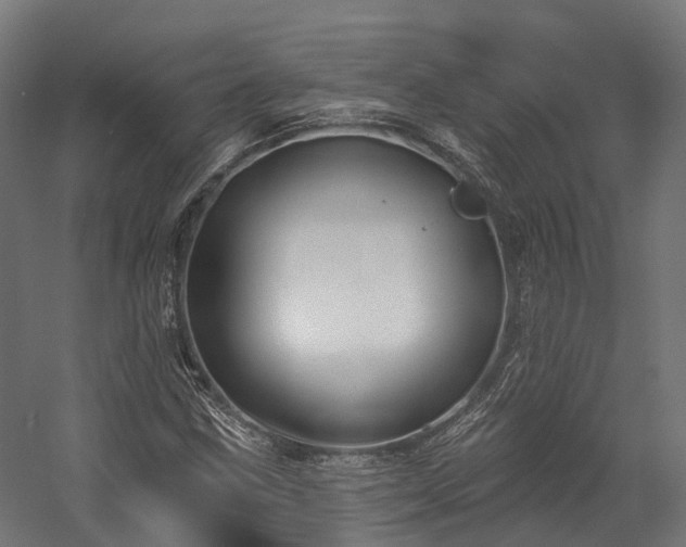 X0000058811211200510031338