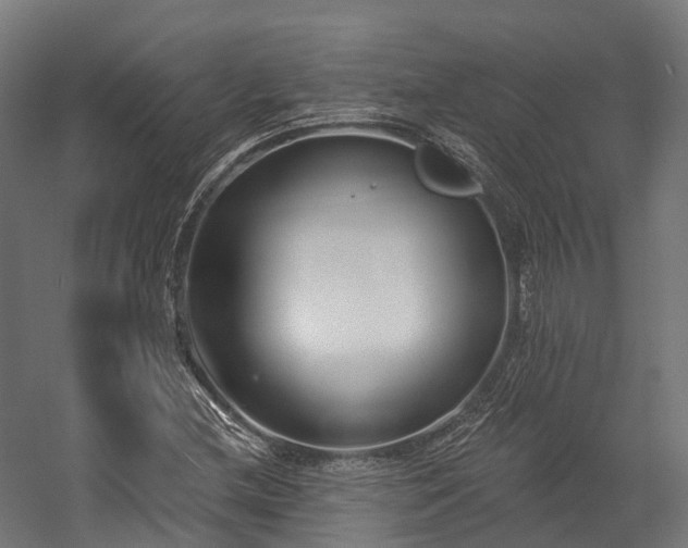 X0000058811212200510031338