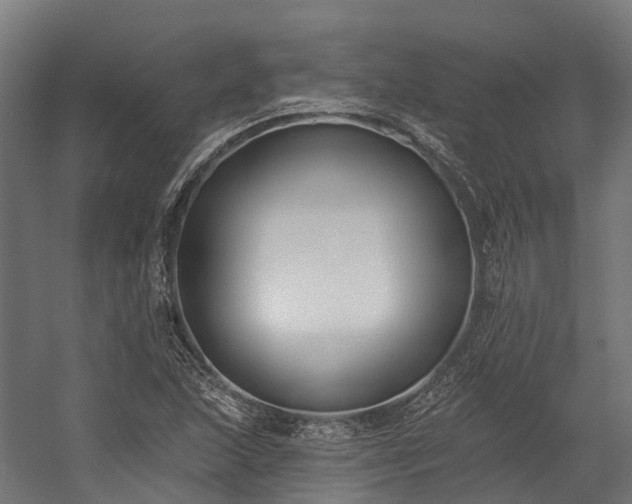 X0000058811215200510031338