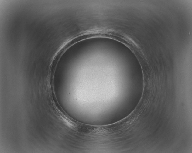 X0000058811216200510031338