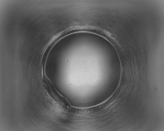 X0000058811221200510031338