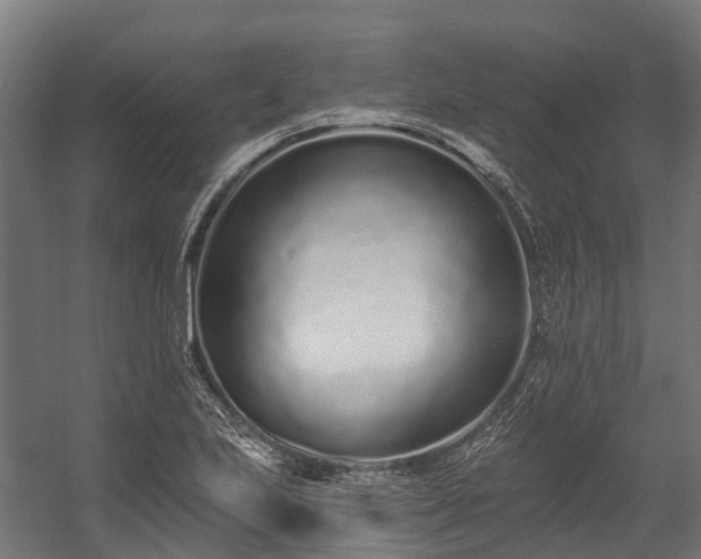 X0000058811223200510031338