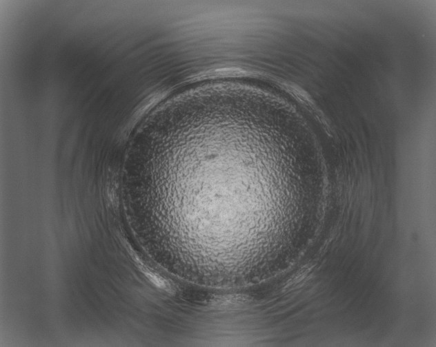 X0000058811225200510031338