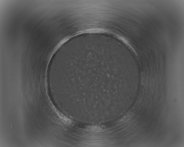 X0000058811229200510031338