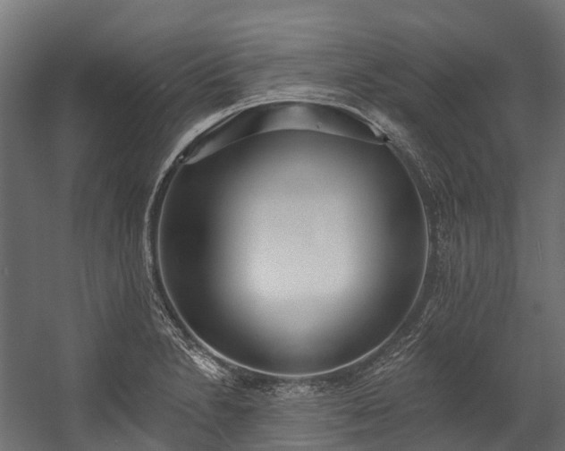 X0000058811230200510031338