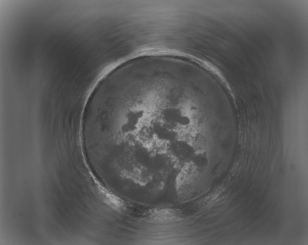 X0000058811231200510031338