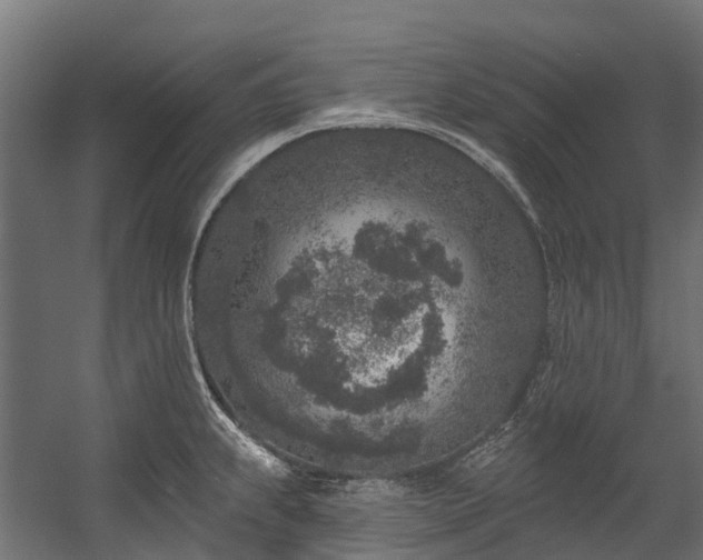 X0000058811239200510031338