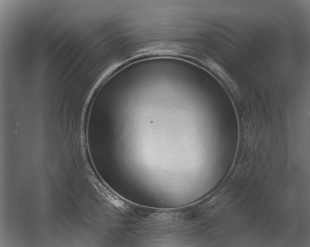 X0000058811240200510031338