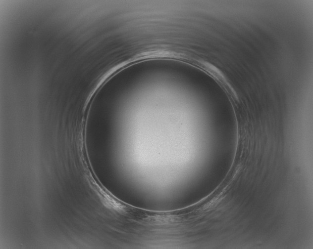 X0000058811244200510031338