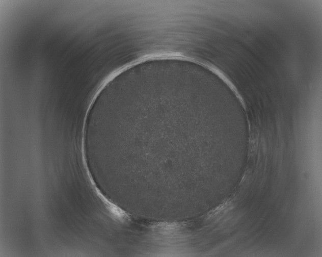 X0000058811245200510031338