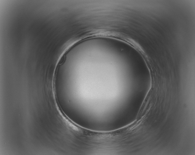 X0000058811247200510031338