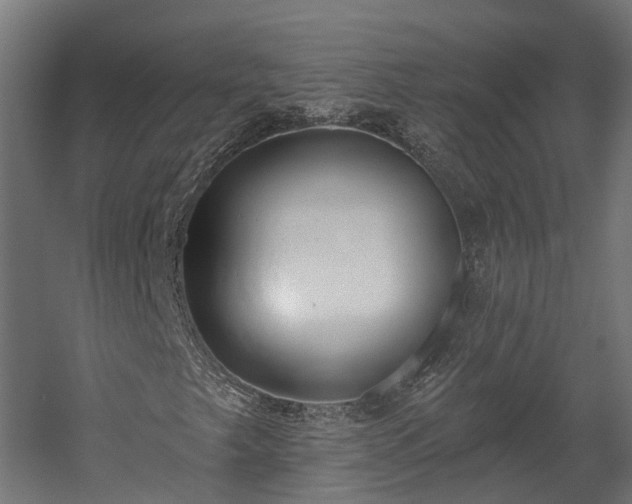 X0000058811249200510031337