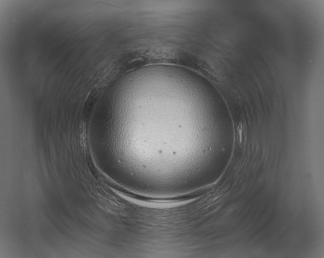 X0000058811251200510031337