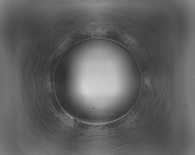 X0000058811252200510031337