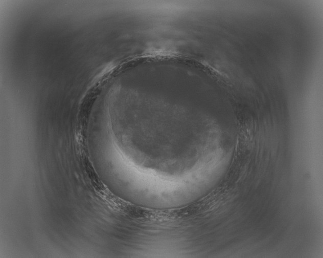 X0000058811254200510031337