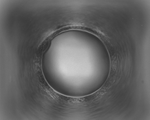 X0000058811255200510031337