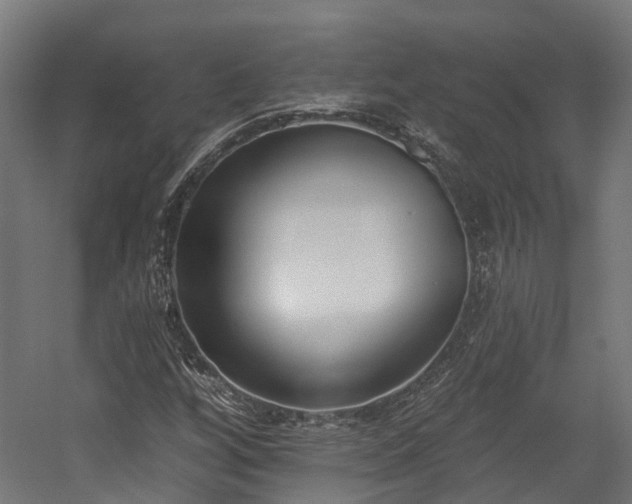 X0000058811256200510031337