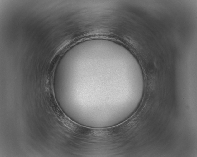 X0000058811258200510031337