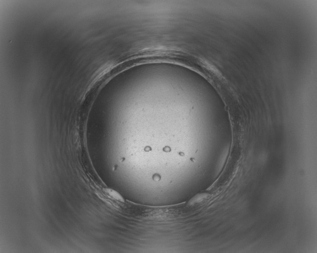 X0000058811259200510031337