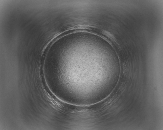 X0000058811260200510031337