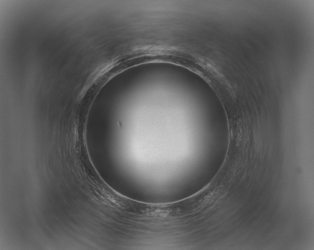 X0000058811261200510031337