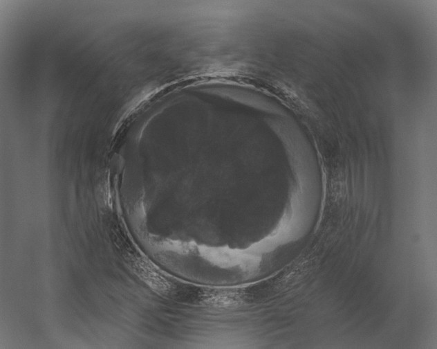 X0000058811262200510031337