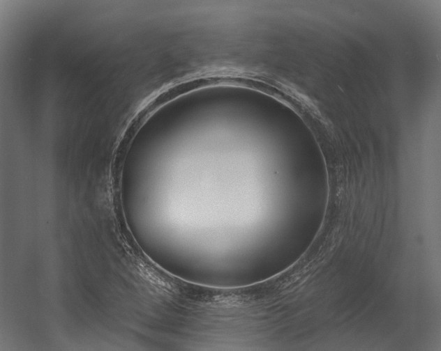 X0000058811264200510031337