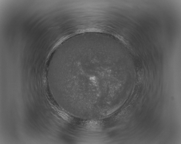 X0000058811266200510031337