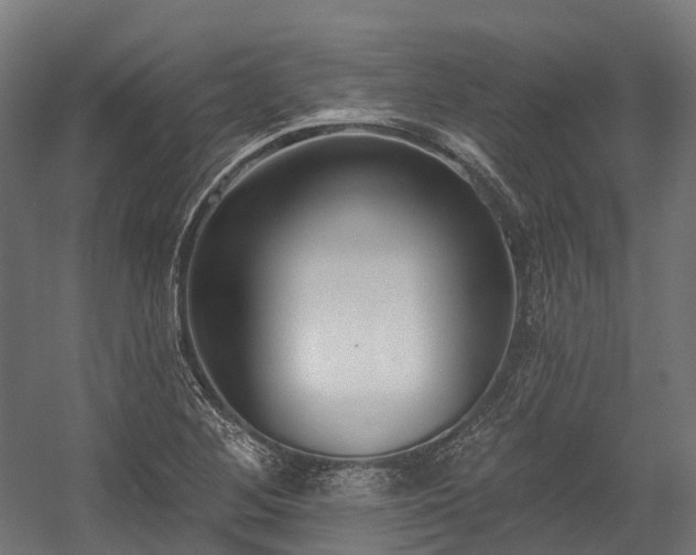 X0000058811268200510031337