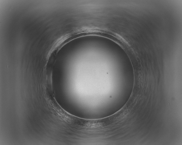 X0000058811269200510031337