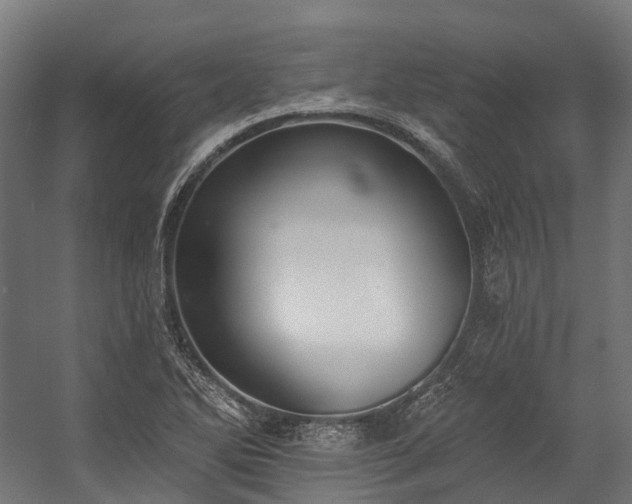 X0000058811270200510031337