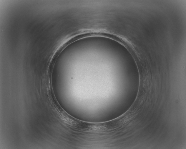 X0000058811271200510031337