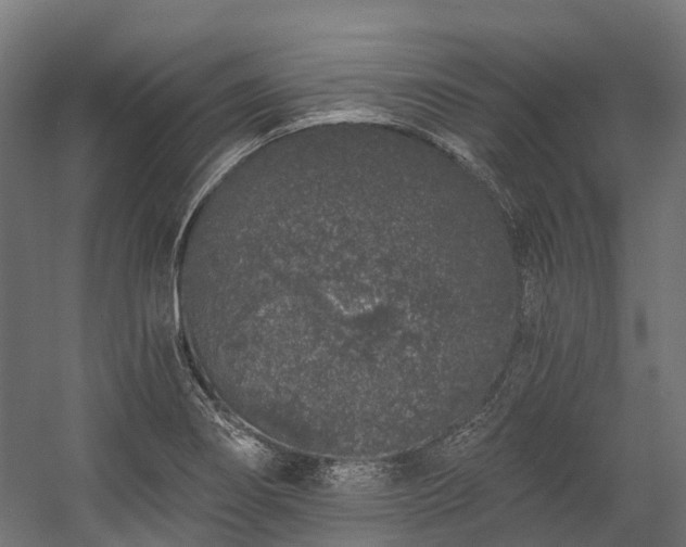 X0000058811274200510031337