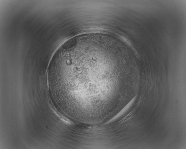 X0000058811275200510031337