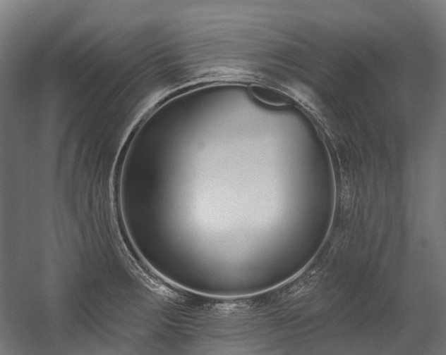 X0000058811283200510031337