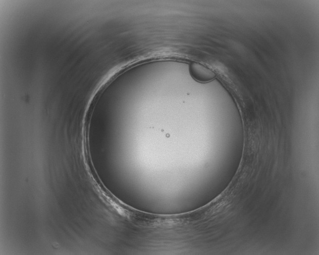 X0000058811286200510031337