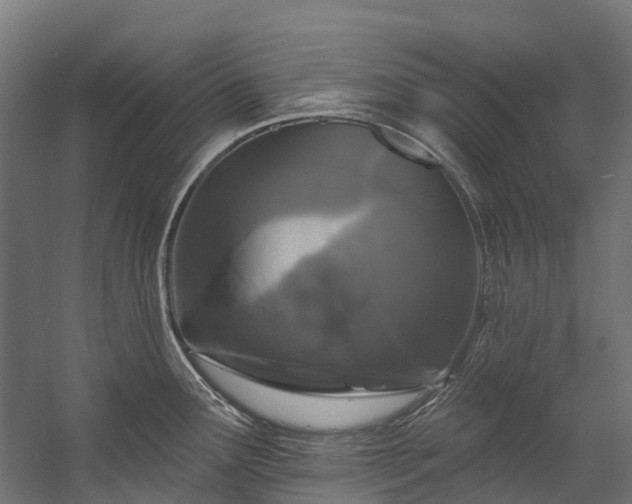 X0000058811291200510031337