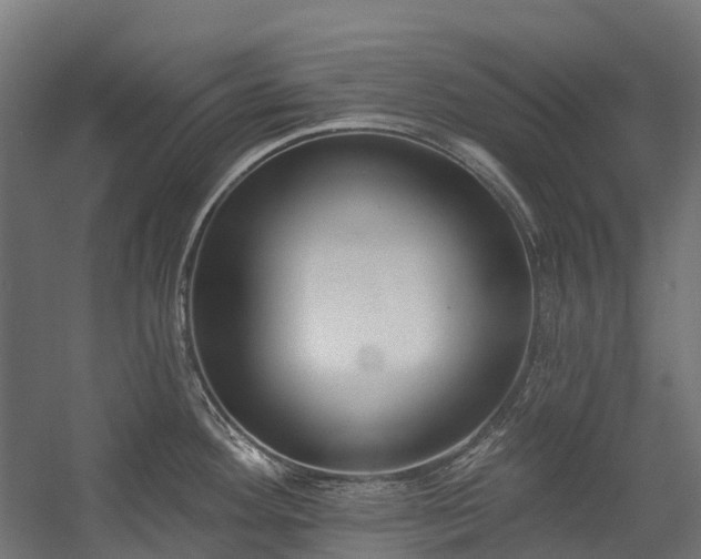 X0000058811292200510031337