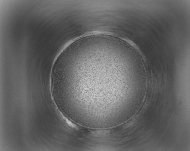 X0000058811294200510031337