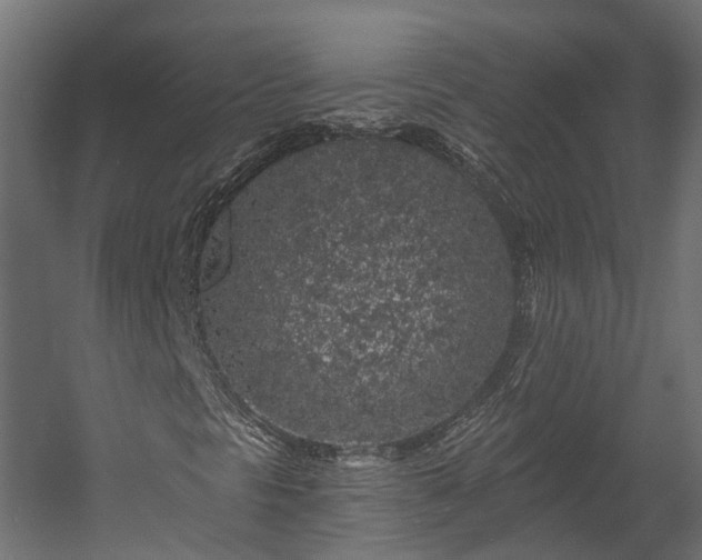 X0000058811297200510031336