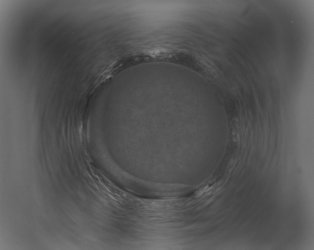 X0000058811298200510031336