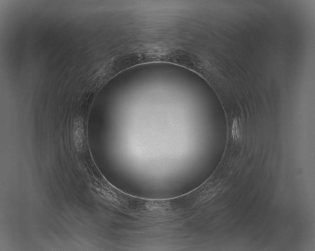 X0000058811299200510031336