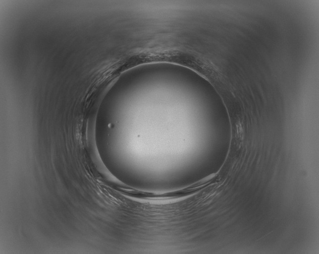 X0000058811300200510031336