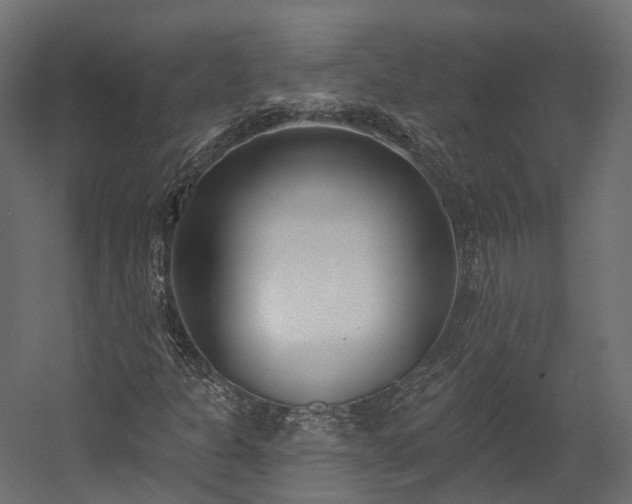 X0000058811301200510031336