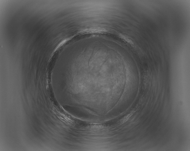 X0000058811306200510031336