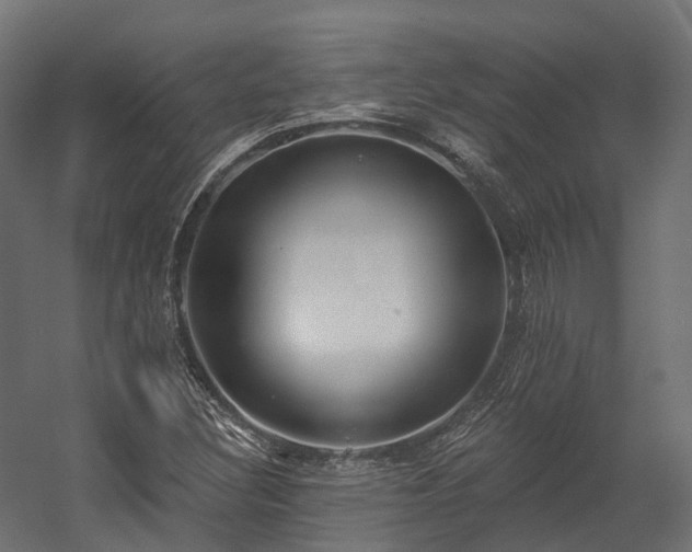 X0000058811308200510031336