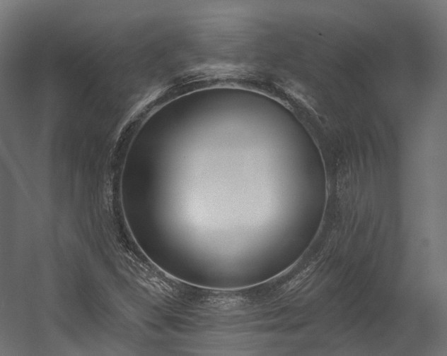 X0000058811309200510031336